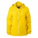 Color: 34 Sunflower Color: 34 Sunflower