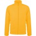  Color: Yellow