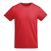 Color: 40 Red Color: 40 Red