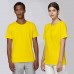  Color: GY Gold Yellow