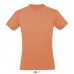 Color: AP Apricot Color: AP Apricot