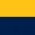 YN Yellow - Navy